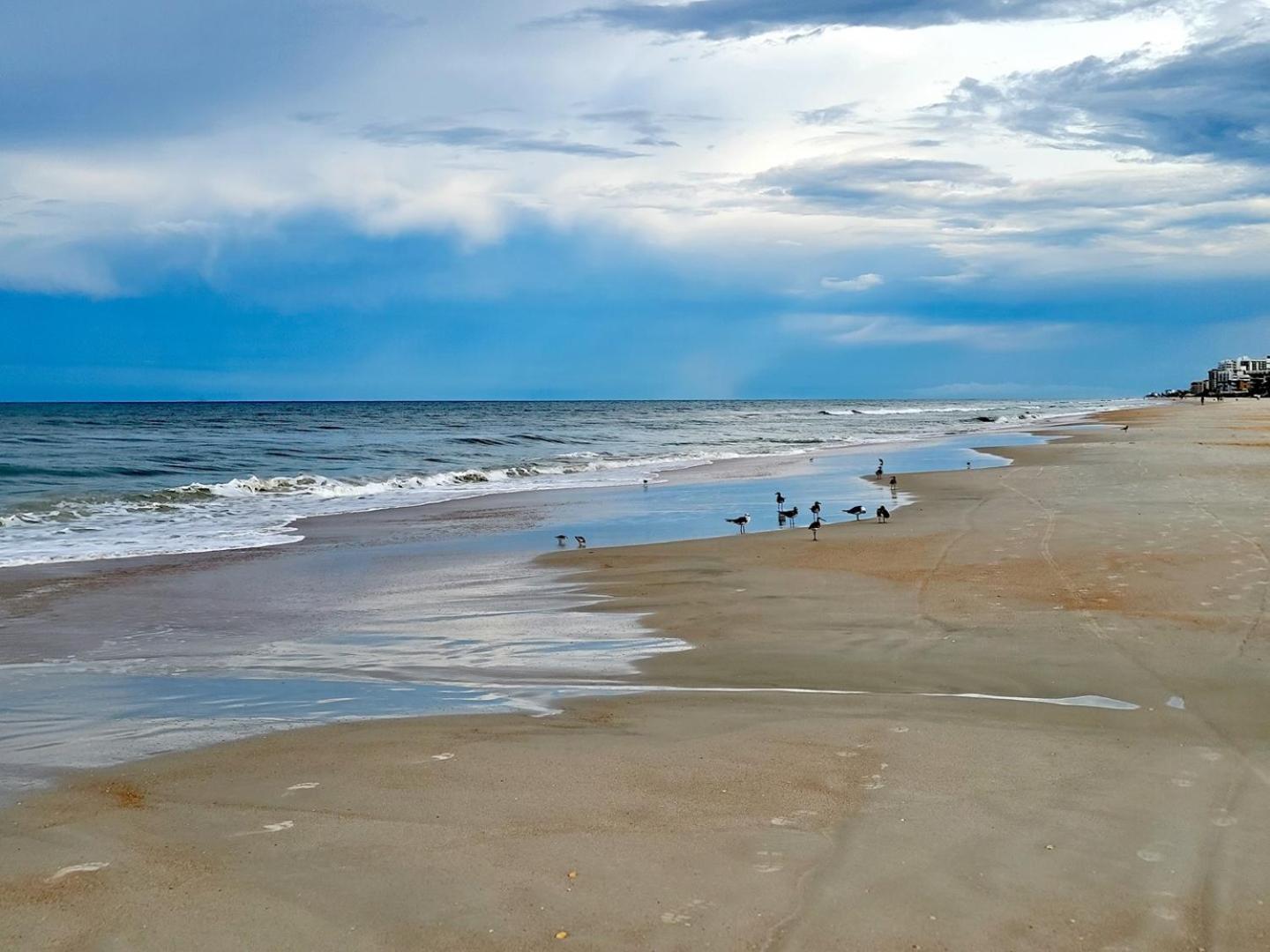 404 - Beautiful 2/2 Ocean View Daire New Smyrna Beach Dış mekan fotoğraf